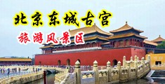 日本美女大奶喷水翘臀被操中国北京-东城古宫旅游风景区